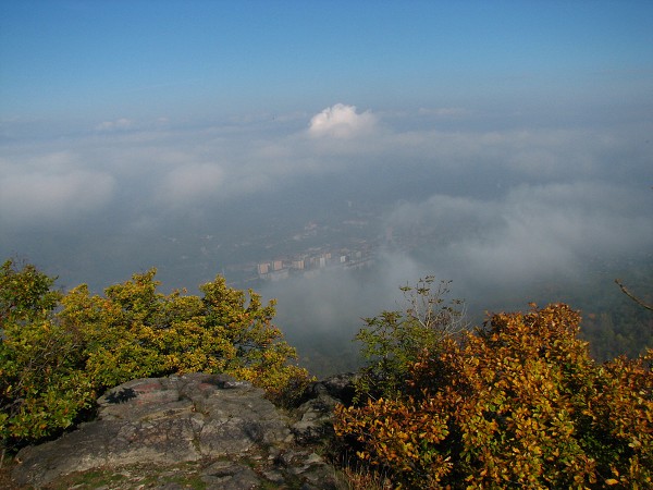 ESK STEDOHO - BOE 539 M